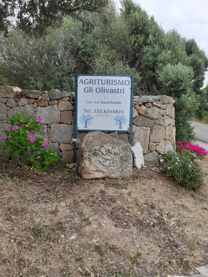 Gli Olivastri Con Piscina,Solarium, Vista Mare ,Sole -Mare E Tanta Natura ,Climatizzatore,Wifi アリエントゥ エクステリア 写真