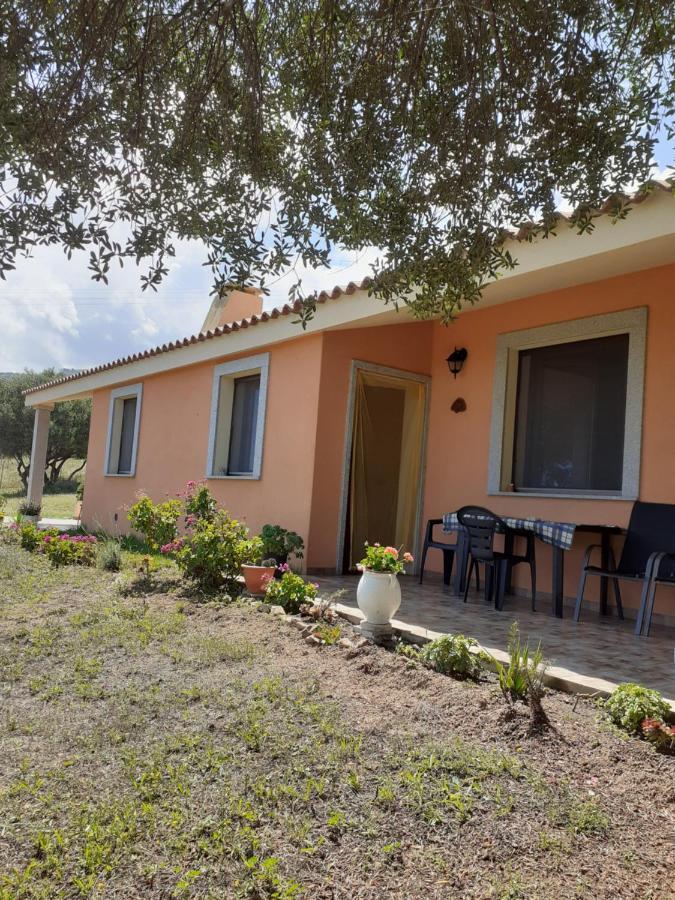 Gli Olivastri Con Piscina,Solarium, Vista Mare ,Sole -Mare E Tanta Natura ,Climatizzatore,Wifi アリエントゥ エクステリア 写真