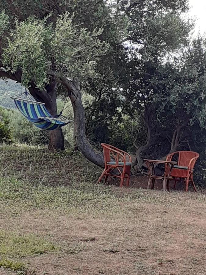 Gli Olivastri Con Piscina,Solarium, Vista Mare ,Sole -Mare E Tanta Natura ,Climatizzatore,Wifi アリエントゥ エクステリア 写真