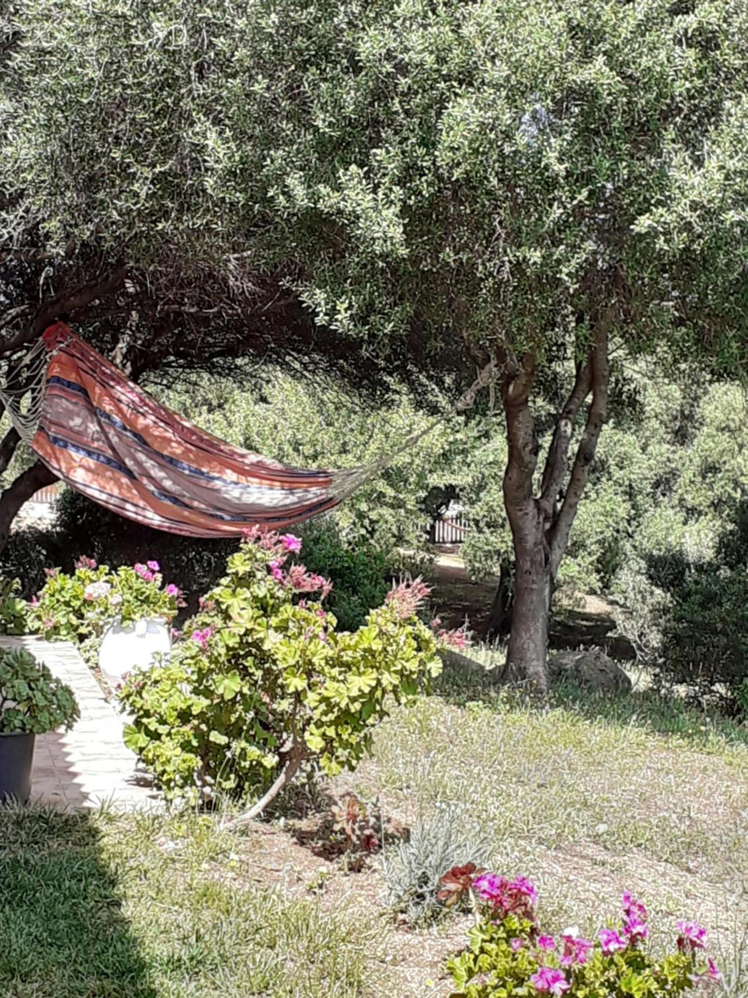 Gli Olivastri Con Piscina,Solarium, Vista Mare ,Sole -Mare E Tanta Natura ,Climatizzatore,Wifi アリエントゥ エクステリア 写真