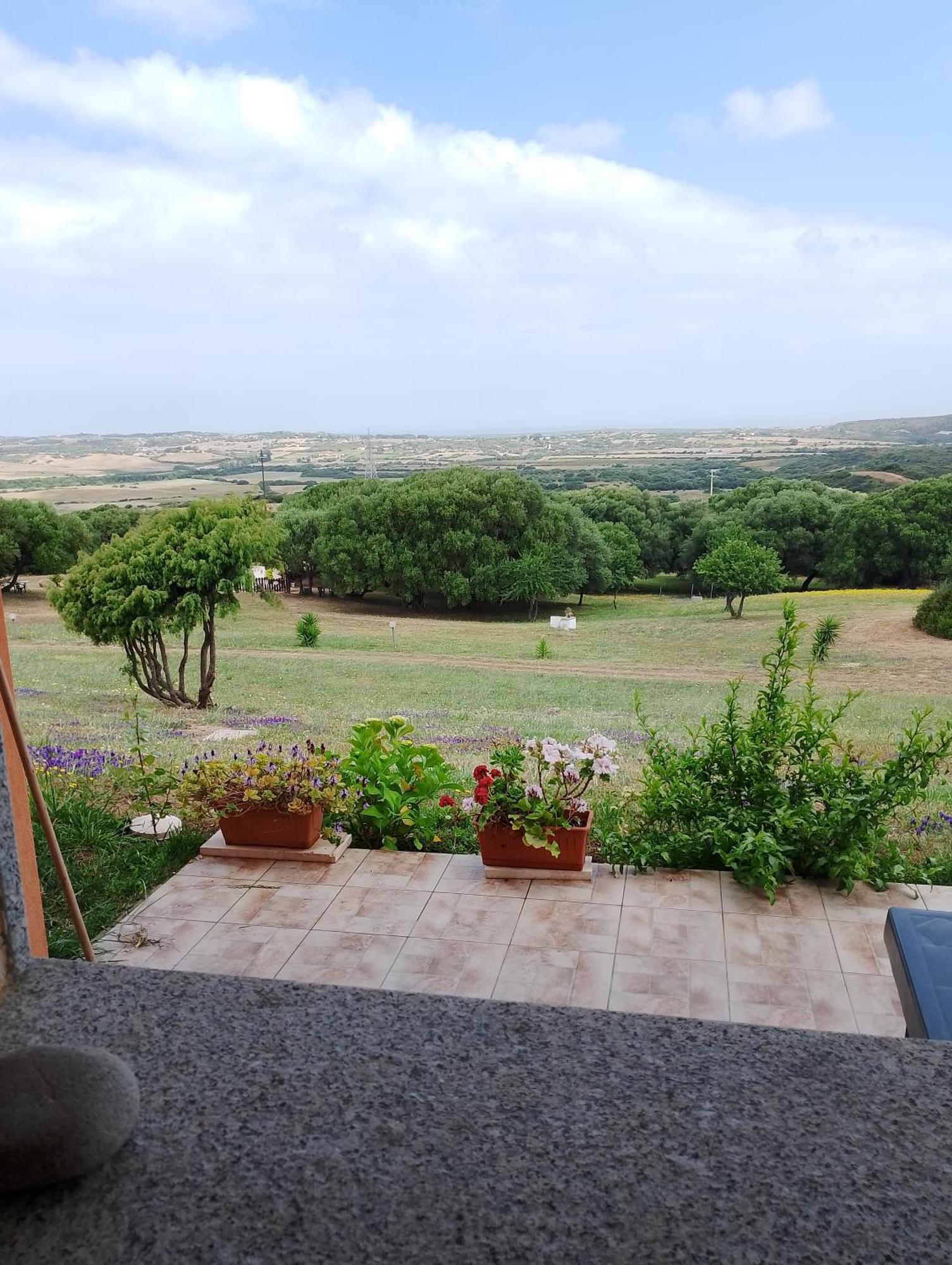 Gli Olivastri Con Piscina,Solarium, Vista Mare ,Sole -Mare E Tanta Natura ,Climatizzatore,Wifi アリエントゥ エクステリア 写真