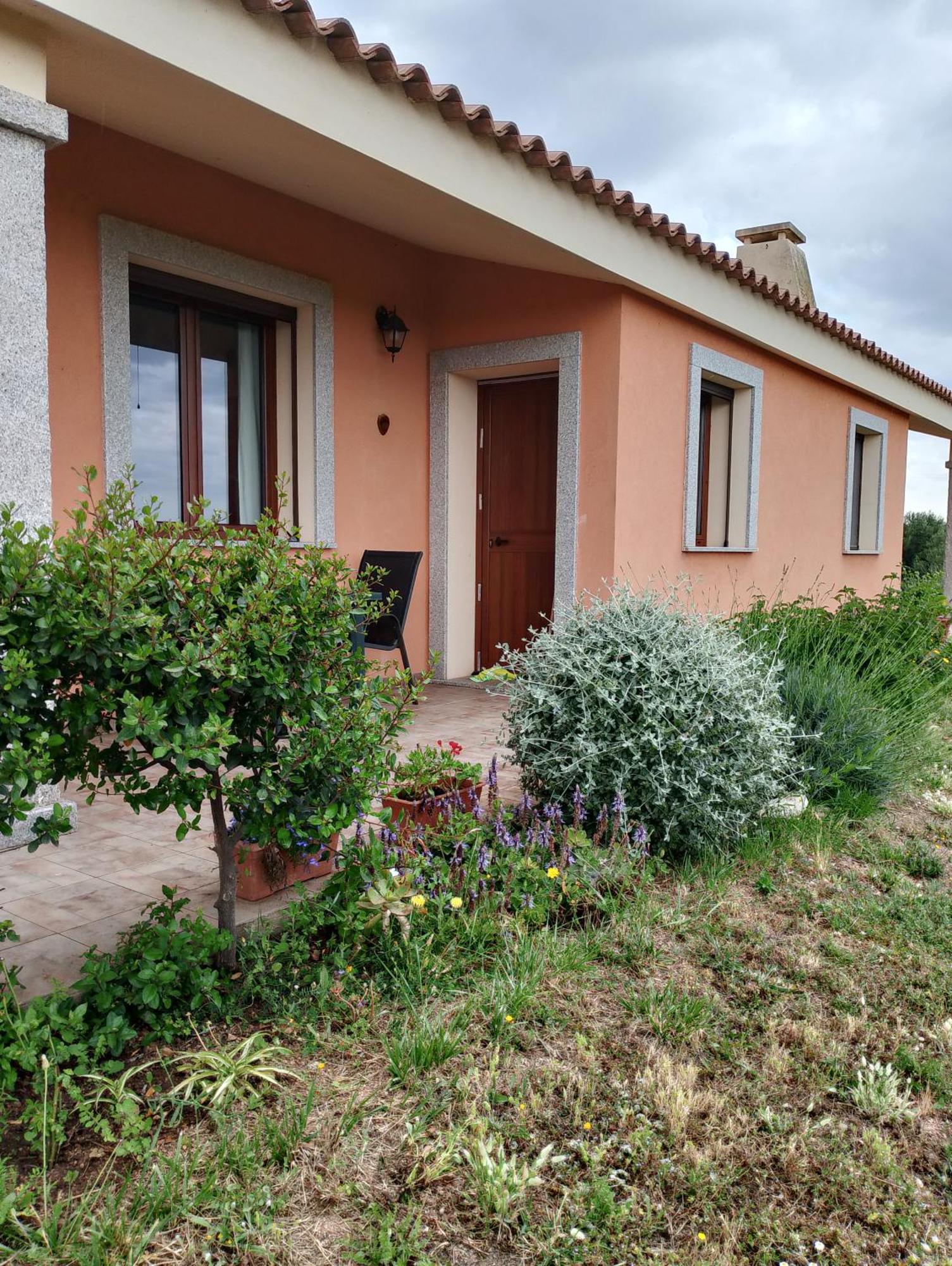 Gli Olivastri Con Piscina,Solarium, Vista Mare ,Sole -Mare E Tanta Natura ,Climatizzatore,Wifi アリエントゥ エクステリア 写真