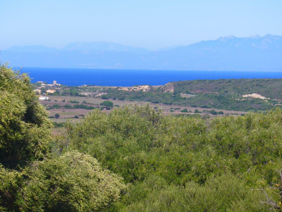 Gli Olivastri Con Piscina,Solarium, Vista Mare ,Sole -Mare E Tanta Natura ,Climatizzatore,Wifi アリエントゥ エクステリア 写真
