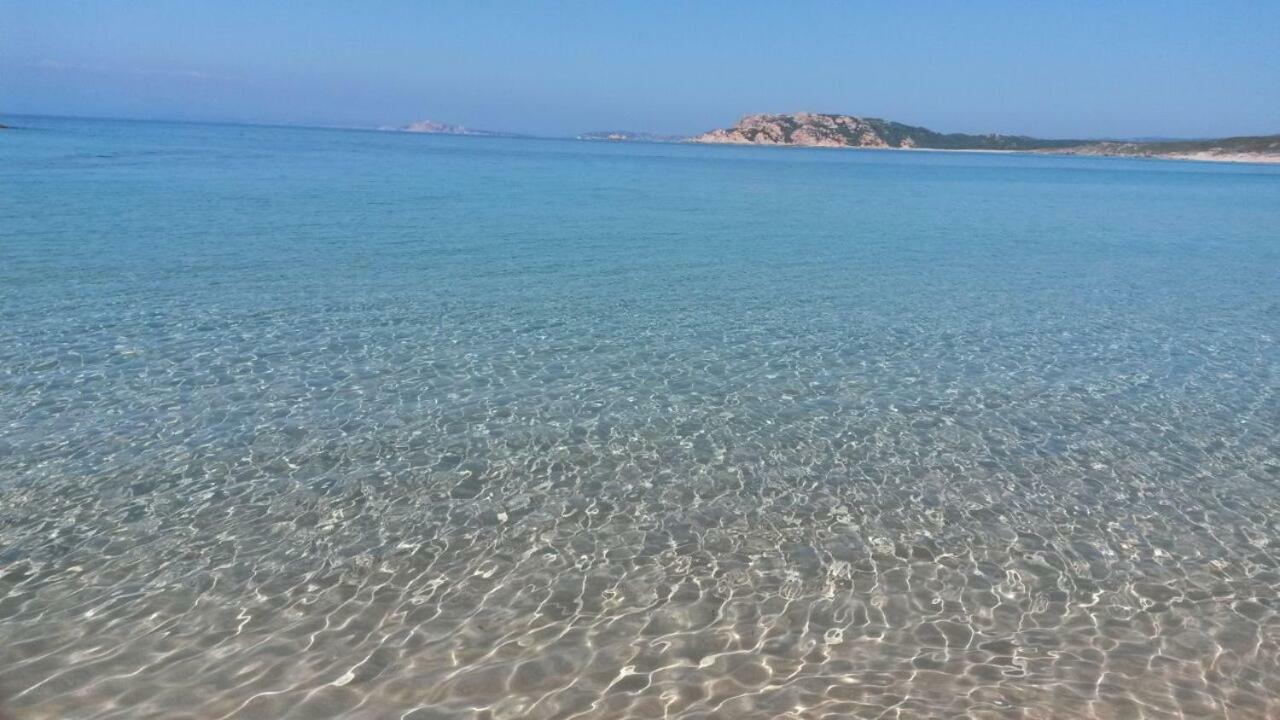 Gli Olivastri Con Piscina,Solarium, Vista Mare ,Sole -Mare E Tanta Natura ,Climatizzatore,Wifi アリエントゥ エクステリア 写真