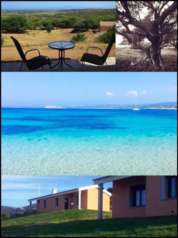 Gli Olivastri Con Piscina,Solarium, Vista Mare ,Sole -Mare E Tanta Natura ,Climatizzatore,Wifi アリエントゥ エクステリア 写真