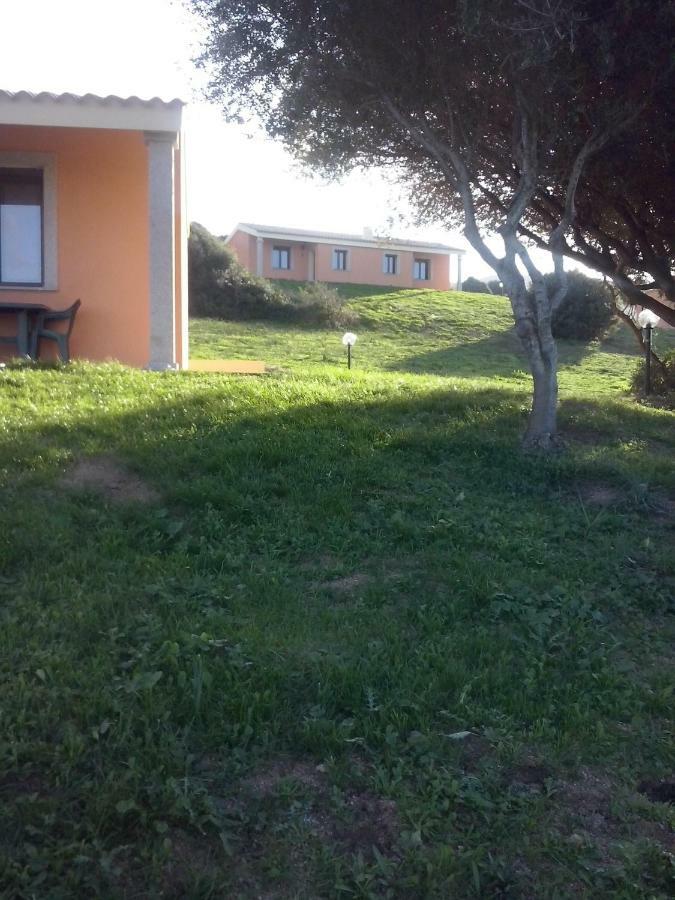 Gli Olivastri Con Piscina,Solarium, Vista Mare ,Sole -Mare E Tanta Natura ,Climatizzatore,Wifi アリエントゥ エクステリア 写真